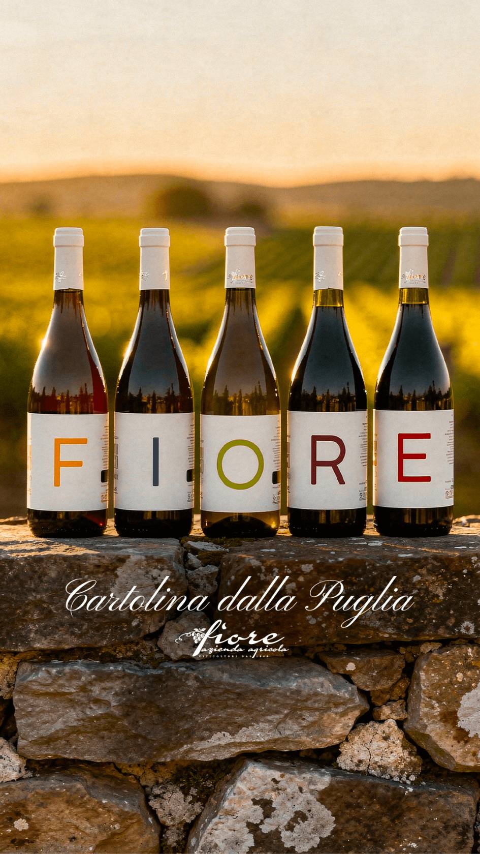 Kit vini  5 Fiori linea completa Fiore Di Bacco: 2 Bianco, 2 Rossi, Rosato