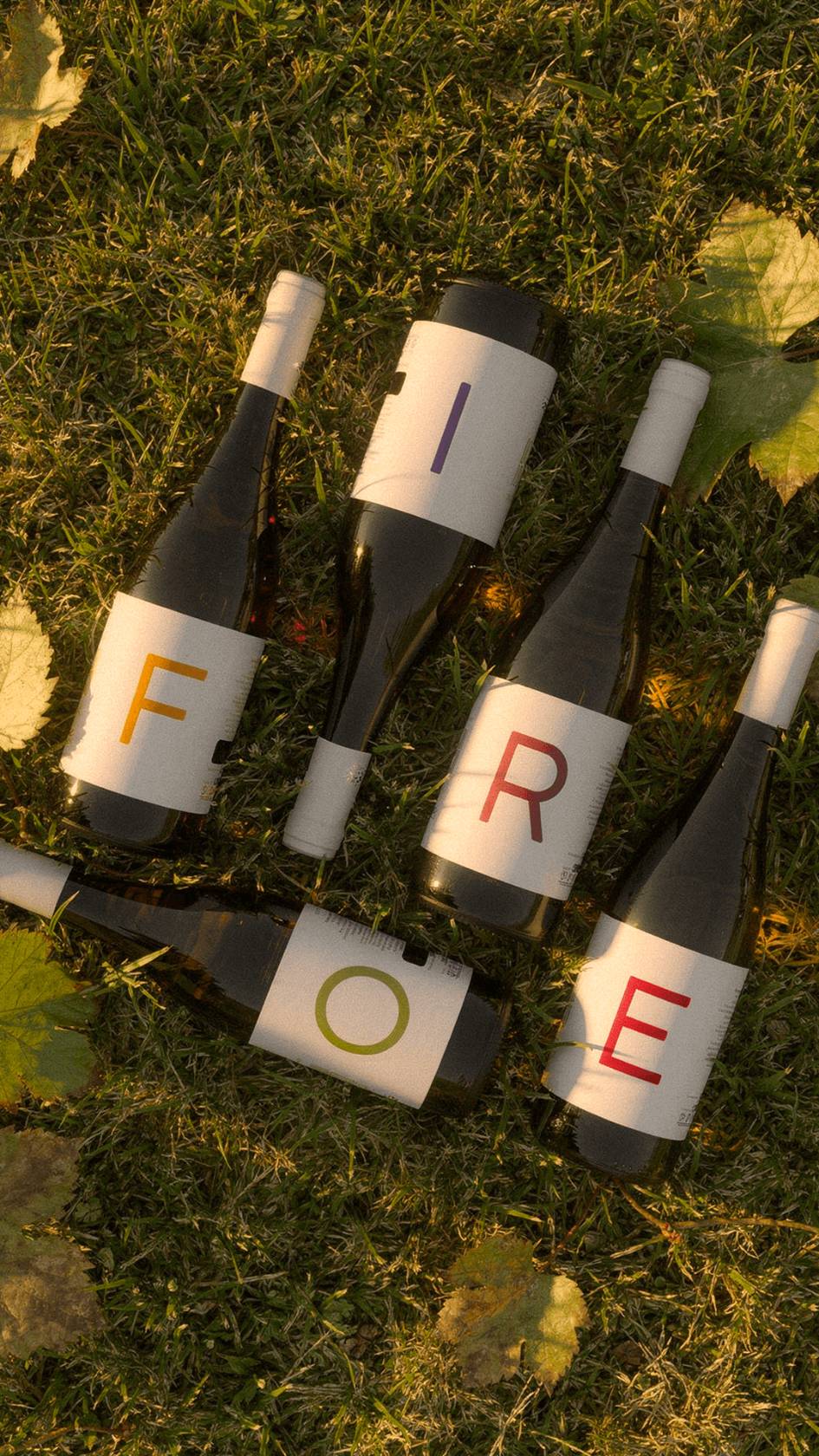 Kit vini  5 Fiori linea completa Fiore Di Bacco: 2 Bianco, 2 Rossi, Rosato