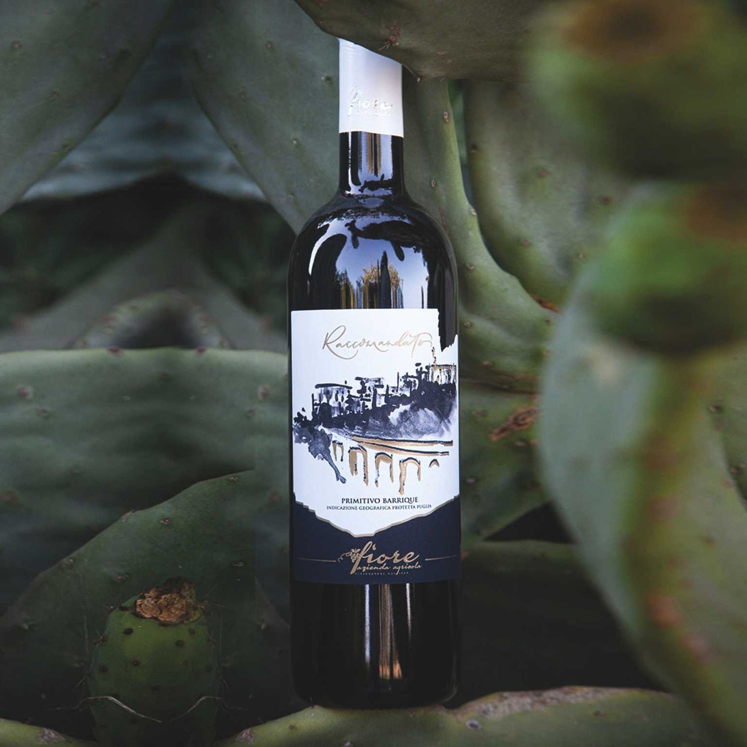 Bottiglia di Vino Raccomandato di Cantine Fiore Puglia
