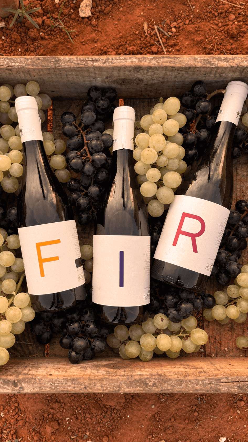 Kit vini  3 Fiori "Avvolgente": Rosso, Rosato, Bianco