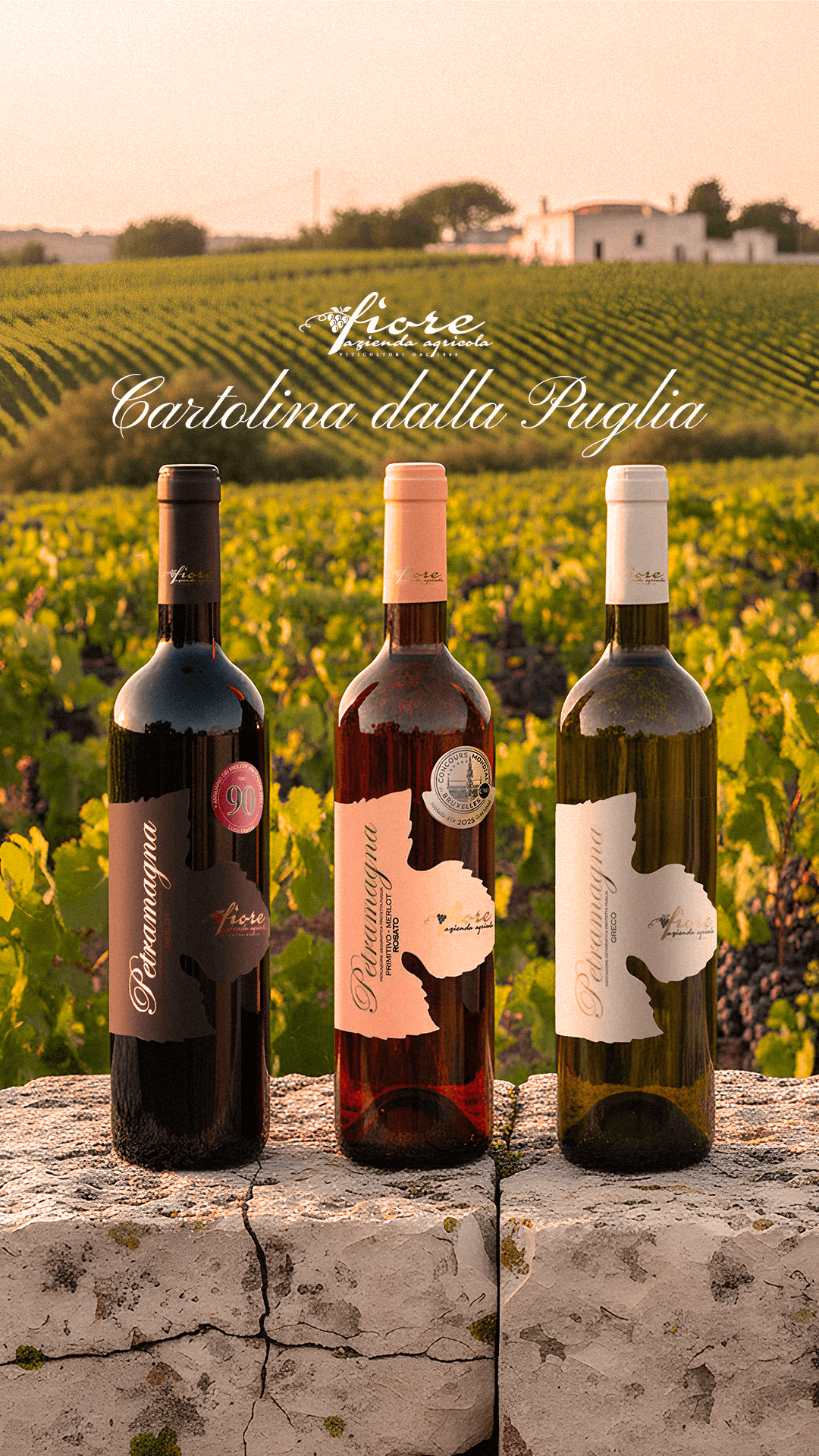 Kit vini Trittico Petramagna: Rosso, Rosato, Bianco