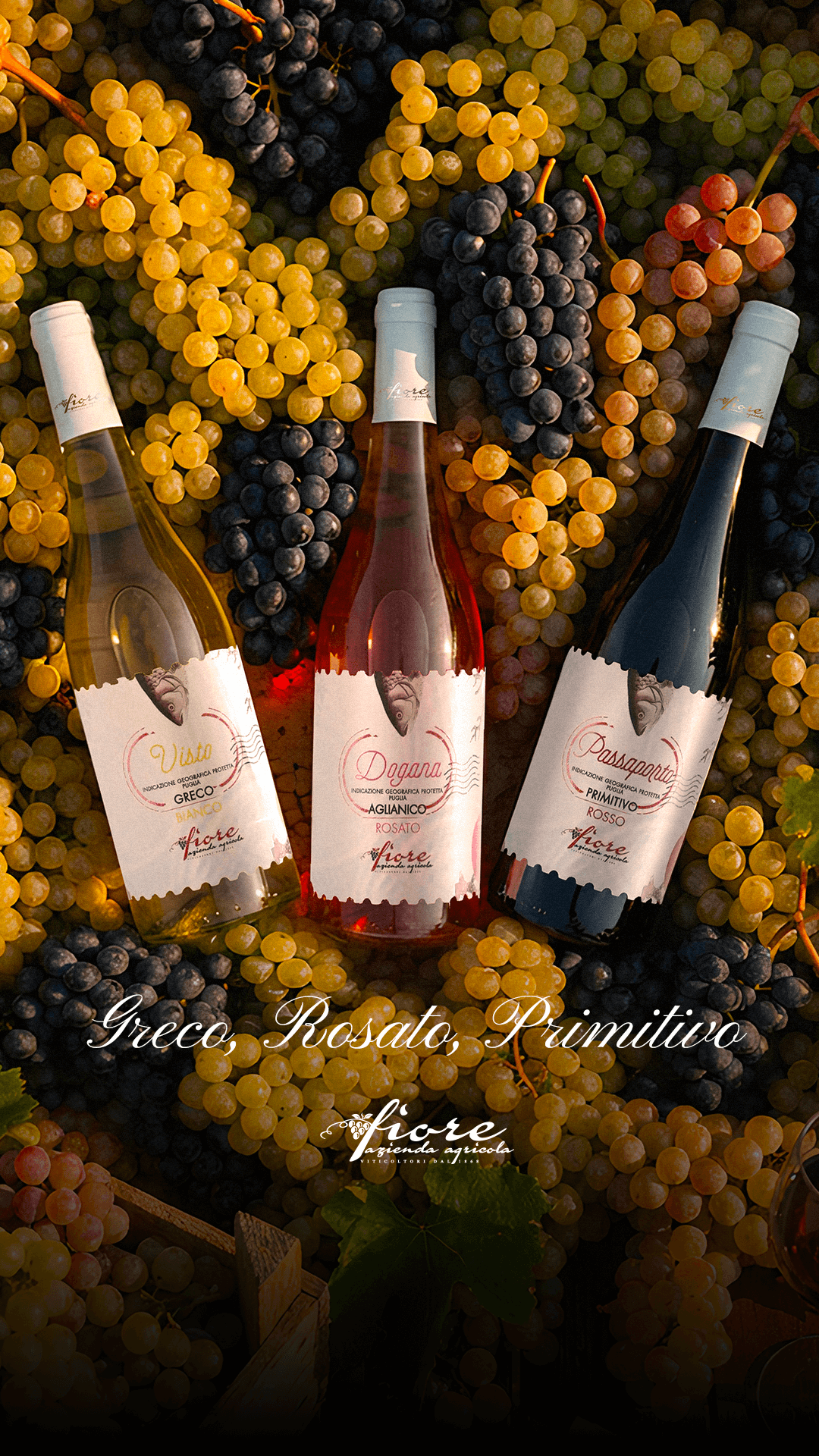 Kit vini Benvenuto in Famiglia: Visto - Dogana - Passaporto, Bianco - Rosato - Rosso